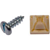 LIC PLT FSTN 1/4X3/4 - image 1