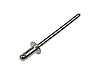 Rivets Diameter: 1/8" - image 1