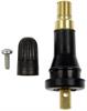 TPMS Service Kit Rubber Snap-In Valve Stem with T-10 Torx Screw - image 1