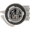 Front Park and Turn Signal Socket - image 2