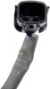 Window Motor/Regulator Assembly 2005-08 for Nissan Frontier, Xterra Front - Right - image 4