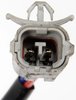 Window Motor/Regulator Assembly 1995-04 Toyota Tacoma - image 4
