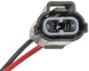 Power Window Motor and Regulator Assembly - image 4
