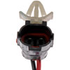 Power Window Motor and Regulator Assembly - image 3