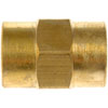 785-080 Brass Coupling-1/8 in. Fnpt - image 1