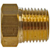 785-420 Hex Head Pipe Plug, 1/8 in. MNPT - image 2