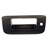 TAILGATE HANDLE - image 1