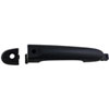 Exterior Door Handle Front Left