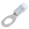 TERM RING AV 16-14 MS - image 1