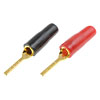 TERM FLAT PIN AUD 12-10 - image 1