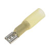 TERM QD WP 12-10 F - image 1