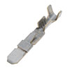 TERM GM PACK CON 14-18 M - image 1