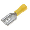 TERM QD 12-10 .375 F - image 1