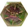 862-615 Cap Screw-Hex Head-Grade 8- 5/8-18 x 1-1/2 in. - image 3