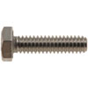18-8 Stainless Cap Screws Thread: 1/4"-20 - image 2