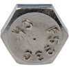 890-020 Cap Screw-Hex Head-Stainless Steel- 1/4-20 x 2 in.; 18-8 Stainless - image 3