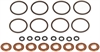 FUEL INJECTOR O-RING KIT - image 1