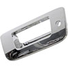 Tailgate Bezel - image 3