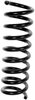 Coil Spring, Universal Fitment
