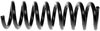 Coil Spring, Universal Fitment - image 2