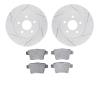 2502-20009 Geoperformance Drilled/Slotted Rotors w/5000 Advanced Brake Pads Kit, 2005-2008 Multiple Makes/Models, Position: Rear - image 1