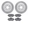 2502-63060 Geoperformance Drilled/Slotted Rotors w/5000 Advanced Brake Pads Kit, 2012-2019 Mercedes-Benz, Position: Rear - image 1