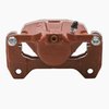 *CALIPER-RED PWDR CTED - image 3