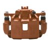 *CALIPER-RED PWDR CTED - image 4