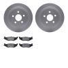 4302-39003 Geospec Brake Rotors with 3000-Series Ceramic Brake Pads Kit, 2003-2010 Mopar, Position: Rear - image 1
