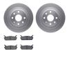 4302-54017 Geospec Brake Rotors with 3000-Series Ceramic Brake Pads Kit, 1990-1996 Ford/Lincoln/Mercury/Mazda, Position: Rear - image 1