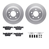 4312-31087 Geospec Brake Rotors with 3000-Series Ceramic Brake Pads & Hardware, 2013-2013 BMW, Position: Rear - image 1