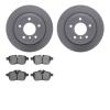 4502-31217 Geospec Brake Rotors w/5000 Advanced Brake Pads Kit, 2009-2010 BMW, Position: Rear - image 1