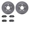 4502-63175 Geospec Brake Rotors w/5000 Advanced Brake Pads Kit, 2006-2011 Mercedes-Benz, Position: Rear - image 1