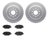 4502-99064 Geospec Brake Rotors w/5000 Advanced Brake Pads Kit, 2009-2019 Ford/Lincoln/Mercury/Mazda, Position: Rear - image 1