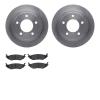 6202-40444 Brake Rotors w/Heavy-Duty Brake Pads Kit, 2003-2003 Mopar, Position: Rear - image 1