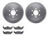 6202-40450 Brake Rotors w/Heavy-Duty Brake Pads Kit, 2003-2004 Mopar, Position: Rear - image 1