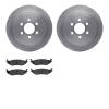6202-40456 Brake Rotors w/Heavy-Duty Brake Pads Kit, 2003-2003 Mopar, Position: Rear - image 1