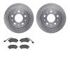 6202-40519 Brake Rotors w/Heavy-Duty Brake Pads Kit, 2014-2021 Mopar, Position: Rear - image 1