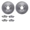 6202-42174 Brake Rotors w/Heavy-Duty Brake Pads Kit, 1999-2004 Mopar, Position: Rear - image 1