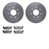 6202-99390 Brake Rotors w/Heavy-Duty Brake Pads Kit, 1997-2004 Ford/Lincoln/Mercury/Mazda, Position: Rear - image 1
