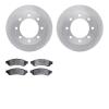 6202-99584 Brake Rotors w/Heavy-Duty Brake Pads Kit, 2010-2012 Ford/Lincoln/Mercury/Mazda, Position: Rear - image 1