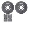 6302-27004 Brake Rotors with 3000-Series Ceramic Brake Pads Kit, 1967-1974 Volvo, Position: Rear - image 1