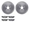 6302-39016 Brake Rotors with 3000-Series Ceramic Brake Pads Kit, 1989-1995 Mopar, Position: Rear - image 1
