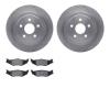 6302-39019 Brake Rotors with 3000-Series Ceramic Brake Pads Kit, 1995-2007 Mopar, Position: Rear - image 1