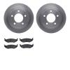 6402-40040 Brake Rotors with Ultimate-Duty Brake Pads, 2003-2003 Mopar, Position: Rear - image 1
