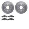 6402-48079 Brake Rotors with Ultimate-Duty Brake Pads, 2000-2006 GM, Position: Rear - image 1