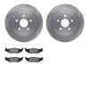 6502-39066 Brake Rotors w/5000 Advanced Brake Pads Kit, 1989-1995 Mopar, Position: Rear - image 1