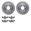6502-40106 Brake Rotors w/5000 Advanced Brake Pads Kit, 1988-1992 Mopar, Position: Rear - image 1