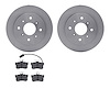 6502-60004 Brake Rotors w/5000 Advanced Brake Pads Kit, 1987-1991 Sterling, Position: Rear - image 1