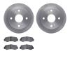 6502-76206 Brake Rotors w/5000 Advanced Brake Pads Kit, 1985-1987 Lexus/Toyota/Scion, Position: Rear - image 1